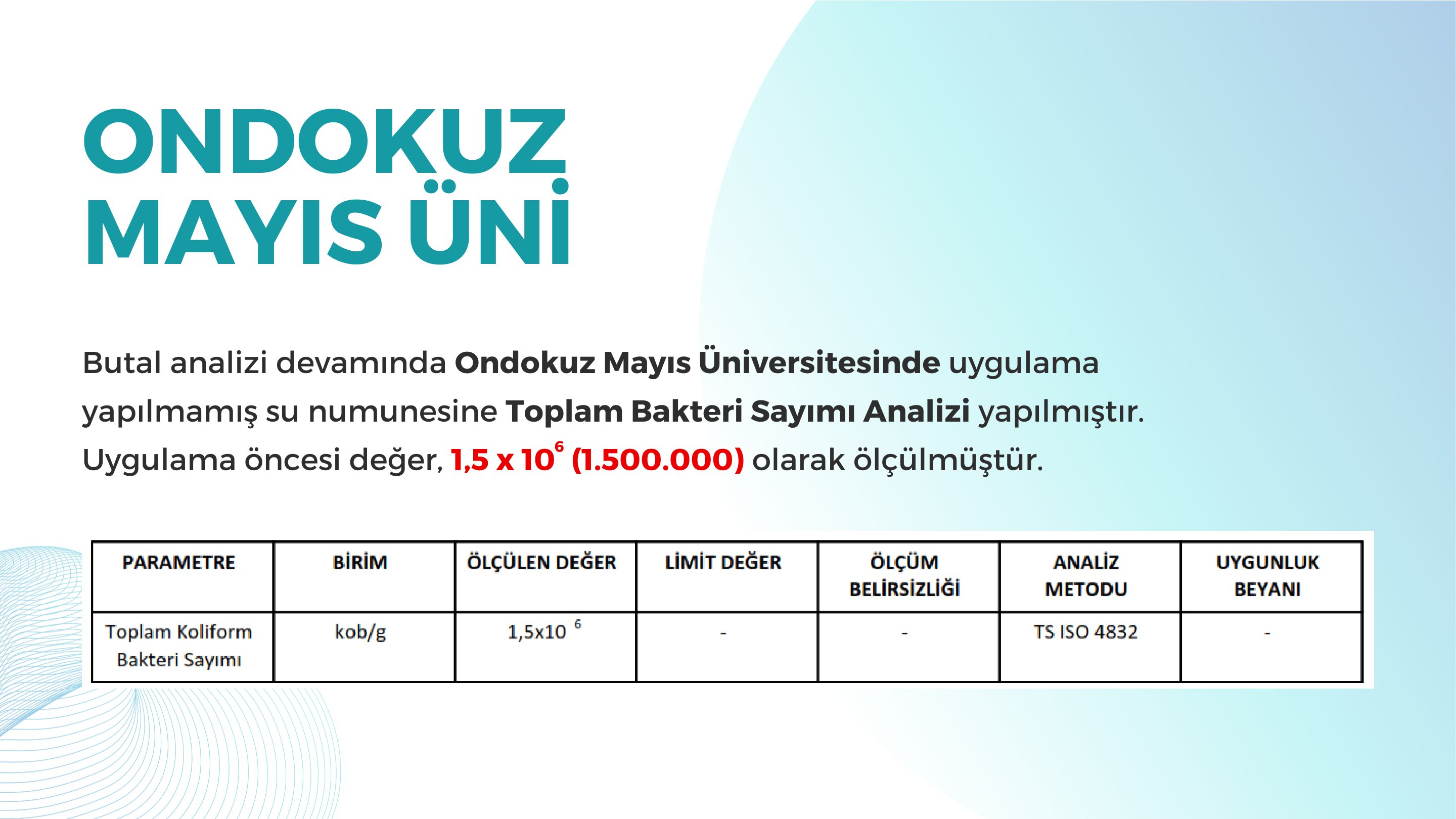 Amasya Tersakan Projesi 9